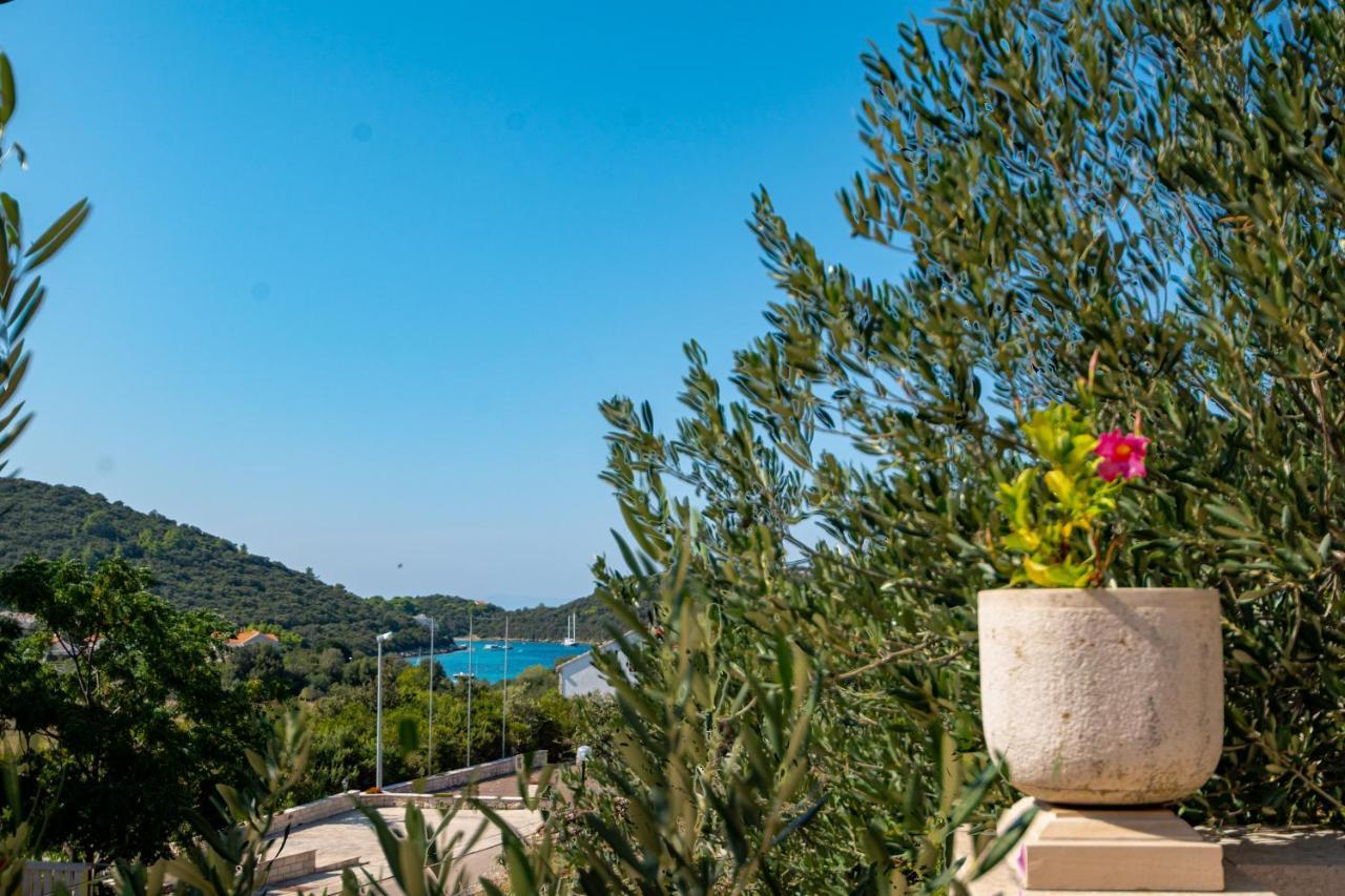 Villa Ana Zrnovo Exterior foto